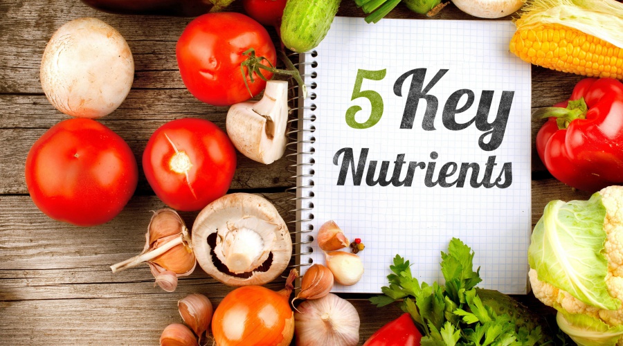 5 Key Nutrients Your Body Needs 5 Key Nutrients Your Body Needs